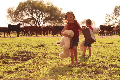 Tambo Teddies - Southport Accommodation 1