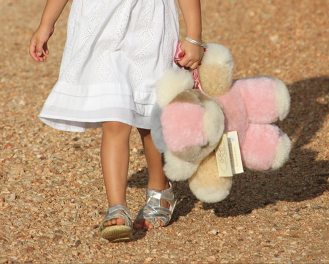 Tambo Teddies - Southport Accommodation 2