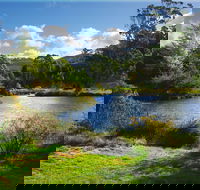 Tasmanian Arboretum Inc. - The - Southport Accommodation