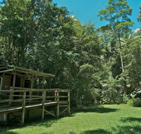 Terania Creek Picnic Area - Southport Accommodation