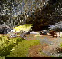 The Pines Picnic Area - Southport Accommodation