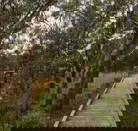 The Briars Park Walking Trails