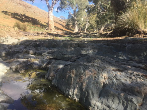 Three Creeks Station -Arkaroona Creek Walk - Southport Accommodation 0