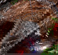 Undara Experience - Accommodation Southport