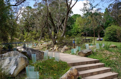 Wentworth Falls Picnic Area - Southport Accommodation 0