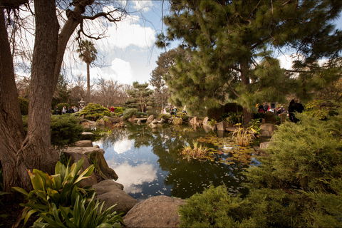 Adelaide Himeji Garden - Southport Accommodation 1
