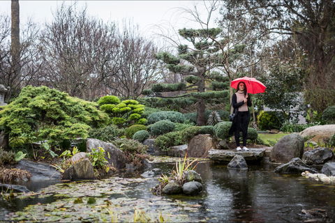 Adelaide Himeji Garden - Southport Accommodation 2