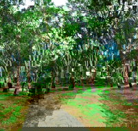 Adungadoo Pathway - Southport Accommodation