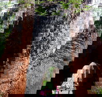 Ancient Empire Walk Valley of the Giants - Accommodation Southport