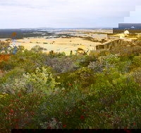 Archer Drive Scenic Drive and Lookout - Accommodation Southport