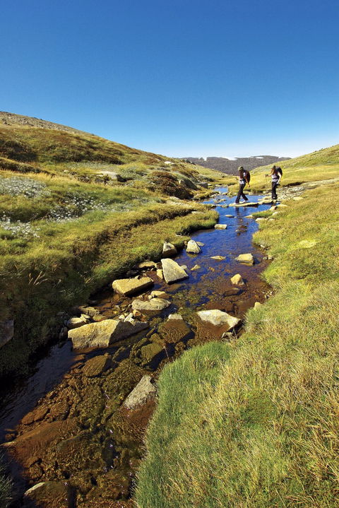 Australian Alps Walking Track - Southport Accommodation 0