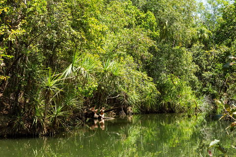 Berry Springs Nature Park - Southport Accommodation 0