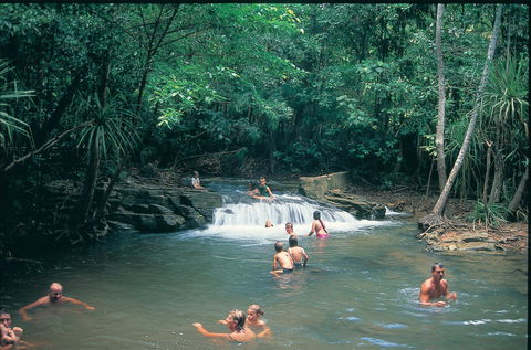 Berry Springs Nature Park - Southport Accommodation 1