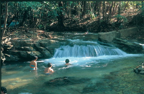 Berry Springs Nature Park - Southport Accommodation 2
