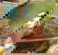 Burnie Farmers Market - Accommodation Southport