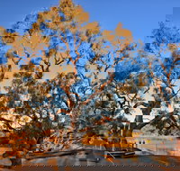 Burke and Wills Dig Tree - Southport Accommodation