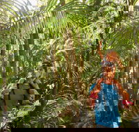 Canungra - Accommodation Southport