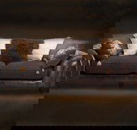 Cargo Lane - Southport Accommodation