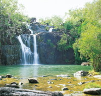 Cedar Creek Falls - Southport Accommodation