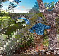 Corkwood and Scribbly Gum Walking Track - Southport Accommodation