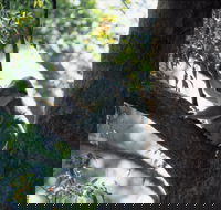 Daisy Hill - Accommodation Southport