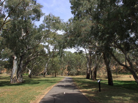 Dead Mans Pass - Southport Accommodation 0