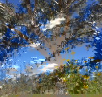 Euroa Arboretum - Southport Accommodation