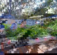 Fernvale Country Markets - Southport Accommodation