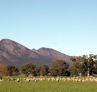 Grampians - Southport Accommodation