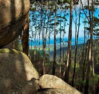 Gulaga Mountain Walk
