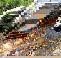 Honey Tasmania - The Beehive - Southport Accommodation