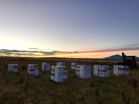Honey Tasmania - The Beehive - Southport Accommodation 2