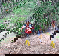 Margaret River Rails Trail - Accommodation Southport