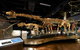 Melbourne Museum - thumb 1