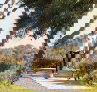 Meningie Walking and Cycling Trails - Accommodation Southport