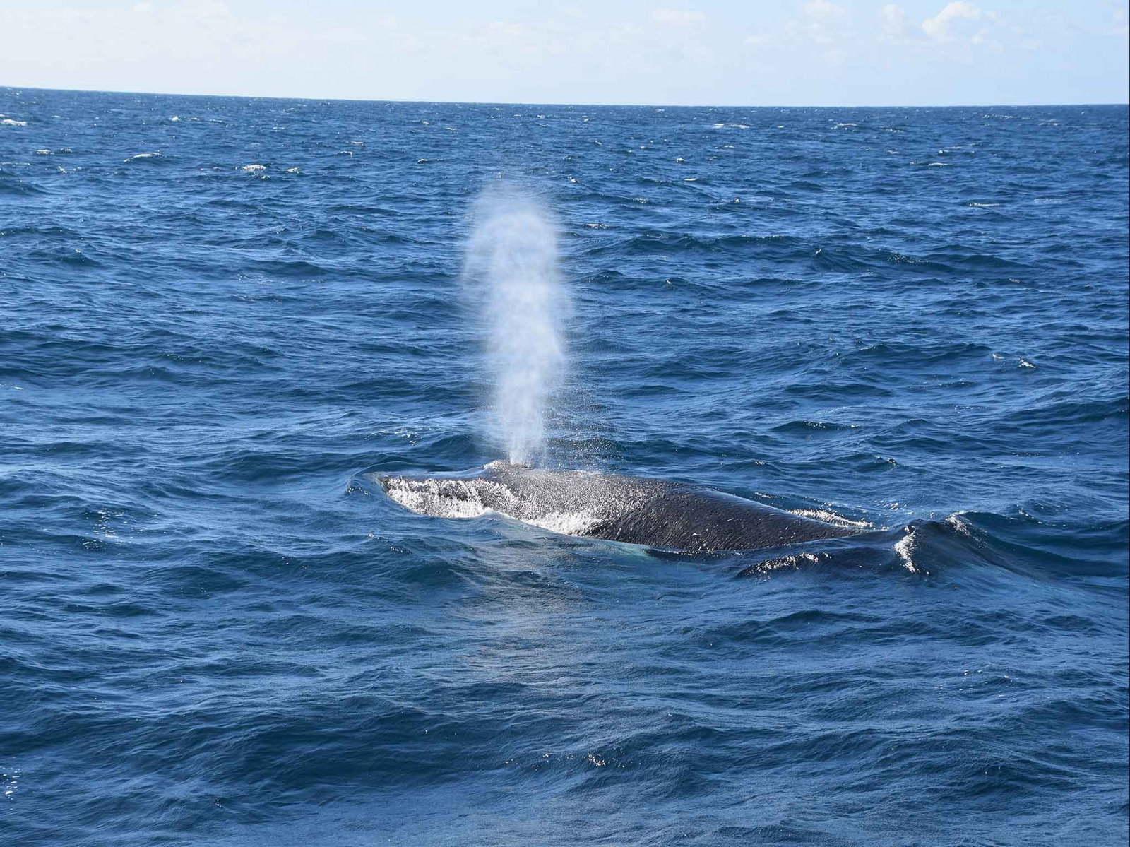 Minyama QLD Accommodation Southport