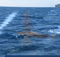 Minyama - Accommodation Southport