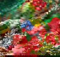 Mount Surprise - Accommodation Southport