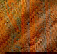 Newcastle Waters - Accommodation Southport