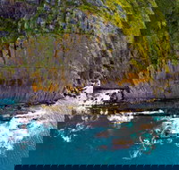 Newland Head Conservation Park - Accommodation Southport