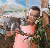 Oakvale Wildlife Park - Southport Accommodation