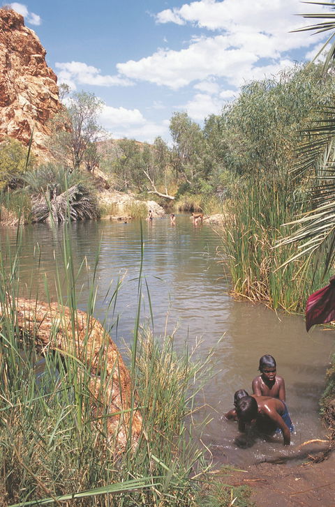 Palm Springs - Southport Accommodation 0