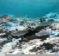 Purdy Point - Southport Accommodation