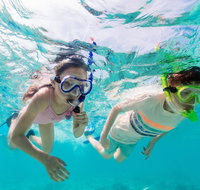 Snorkel Hat Head Creek - Southport Accommodation