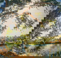 Sturt Gorge Recreation Park - Accommodation Southport