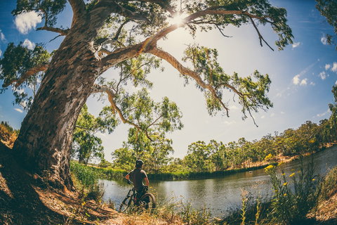 Sturt Gorge Recreation Park - Southport Accommodation 0