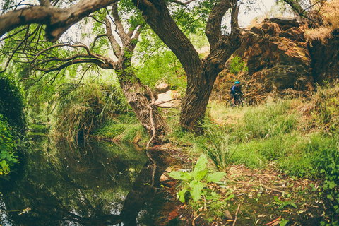 Sturt Gorge Recreation Park - Southport Accommodation 1