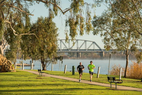 The Bunyip - (Mulyawonk) - Southport Accommodation 1
