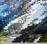 The Herbig Family Tree - Accommodation Southport