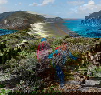 Torndirrup National Park - Southport Accommodation